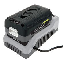 Load image into Gallery viewer, Snow Joe + Sun Joe iONMAX iBAT40-LT EcoSharp® LITE Lithium-Ion Battery | 40 Volt | 2.5 Ah