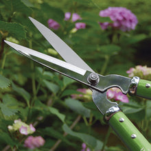 Load image into Gallery viewer, Martha Stewart MTS-JHS1 Japanese Artisanal Stainless Steel Hedge Shears