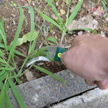 Load image into Gallery viewer, Nisaku KUSANUKIKAMA Saw Tooth Sickle, 4.25-Inch Blade
