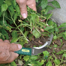 Load image into Gallery viewer, Nisaku KUSANUKIKAMA Saw Tooth Sickle, 4.25-Inch Blade
