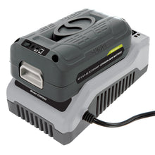 Load image into Gallery viewer, Snow Joe + Sun Joe iONMAX iBAT40 EcoSharp® Lithium-Ion Battery | 40 Volt | 4.0 Ah
