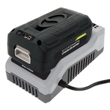 Load image into Gallery viewer, Snow Joe + Sun Joe iONMAX iBAT40XR EcoSharp® Pro Lithium-Ion Battery | 40 Volt | 5.0 Ah
